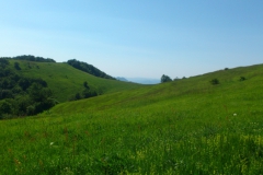 jablanik
