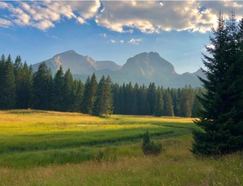 DURMITOR, Savin Kuk (2313mnv)